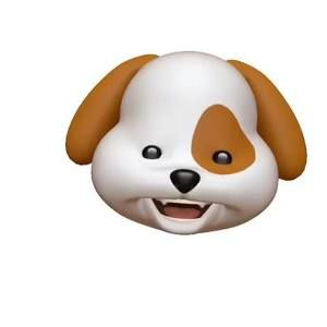 Meet your Posher, Roland